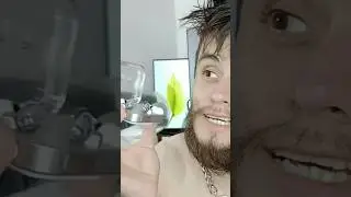 Los Nothing ear 3