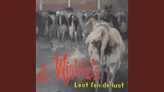 Iepen doar