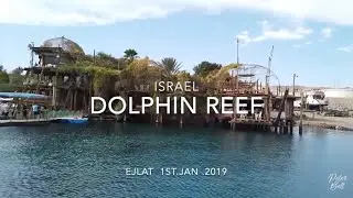 EJLAT ISRAEL - Dolphin Reef