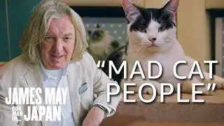 This Cat Doesn't Seem To Like James May... | James May: Our Man in Japan #Shorts