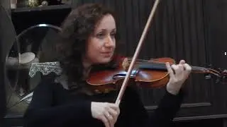 Elan скрипка Тамара Зайцева  Secret Garden