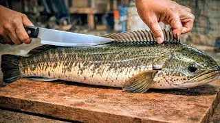Amazing Huge Snakehead Fish Cutting and Cleaning by Expert।