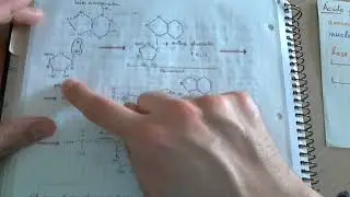 Diferencia entre nucleósido y nucleótido