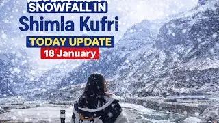 Shimla kufri snowfall today latest update | Spiti valley | shimla tour | famous view point 