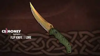 CS:GO | Flip - Lore