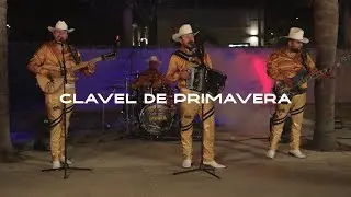 Clavel de Primavera - Los De Topia Durango (En Vivo)