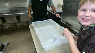 Fun Friday #3: Paper Boat Races
