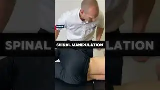 Level 1 Spinal Manipulation Course | Learn 50+ Techniques