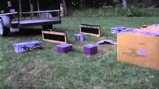Birthday Party Fireworks Display