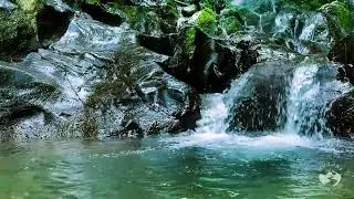 Tranquil River Drift at Night | Calm Flowing Water Sounds for Deep Sleep