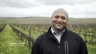 In the Spier Vineyards: 