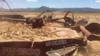 Schulte FX1800 Rotary Cutter cutting maize stalks