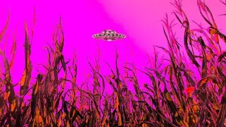 There's a Crop Circle on My Daddy's Land - The Cucumbers [OFFICIAL LYRIC VIDEO]