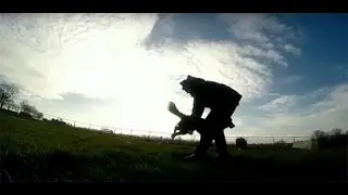 131 Hoe leer je jouw hond om door je armen te springen?