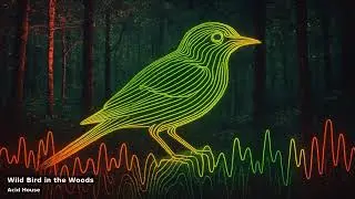 Acid House &ndash; Wild Bird in the Woods | Mechanical Groove