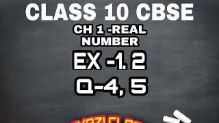 CLASS 10 CH 1 EX-1. 2 Q4 AND Q5 BY NIYAZI CLASSES