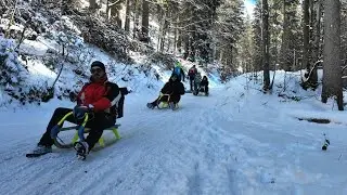 Winter Magic in the Bavarian Alps | Snow Walk & Sledding at Spitzingsee