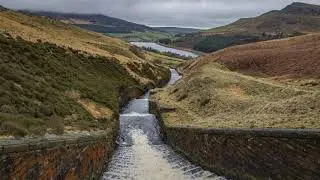 Dovestone Res