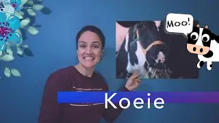Koeie