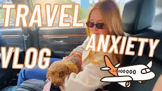 Честно говоря, я боюсь путешествовать ✈️ | Видеоблог &laquo;Дни из моей жизни&raquo; и многое другое!