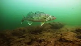 How To Use Electronic Mapping To Catch More Fish