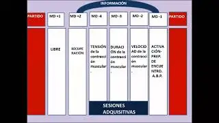 Los Parametros de Entrenamiento para un Equipo de Fútbol Contemporáneo