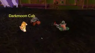 Darkmoon Faire 4.3 Pets and Mounts
