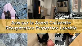 Avis sur la Avont Collerette R&eacute;cup&eacute;ration Protection Lavable pour Chat et Chien, Collier &Eacute;lisab&eacute;thai