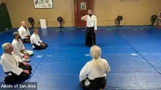 blind angle pivot kote gaeshi