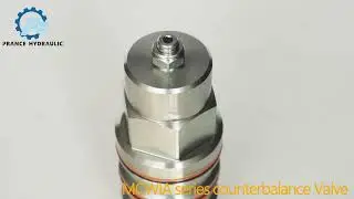 Efficient MCWIA Counterbalance Valve Supplier &ndash; Stability and Safety