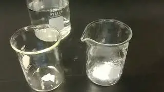 U4S1 Lab - Properties of Ionic Polar and Covalent Compounds - Digital Version OBSOLETE