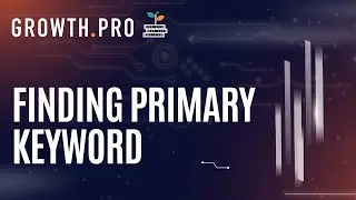 What are Primary Keywords, and how to choose them for a website?