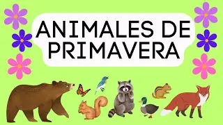 ANIMALES DE PRIMAVERA - VIDEO EDUCATIVO para niños/as