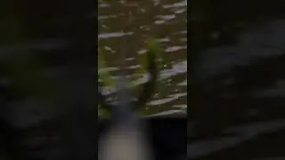 That's A Proper Bite! 🎣😆