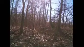 20110214 BC1