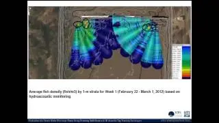 Evaluation of a Waste Water Discharge Plume Using Split-Beam & 3D Acoustic Tag Tracking Techniques