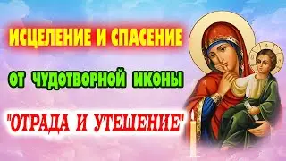 СИЛЬНАЯ молитва о здоровье и исцелении! Икона Божией Матери &laquo;Отрада&raquo; (Утешение)-3 февраля