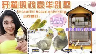 开箱鹦鹉豪华大别墅！我们的霸道总裁主角KIKI终于要成家啦！欢迎家里新成员NINI～ COCKATEIL HOUSE UNBOXING (HI I AM KIKI ) // EEDASHIU