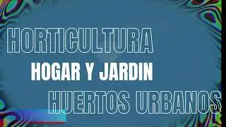 LNL Imnova Hidrogel para plantas Agua Solida, Retenedor de Agua 250 Grs