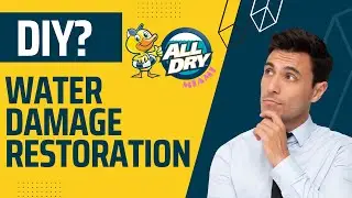 DIY Water Damage Restoration: Can You Do It Yourself?