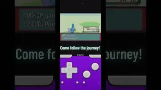 Follow along live on tik tok: kingyork22 #pokemonemerald #smallstreamer