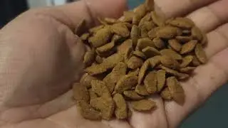 POWERCAT CAT FOOD AND POWERSAND CAT LITTER (overview)