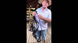 Berrante Agrizzi - 2074