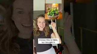 I PURPOSELY got scammed. I bought an AI-generated plant, and here&rsquo;s what the seller really sent me!