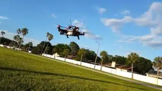 Wakera runner 250 advance flying  test