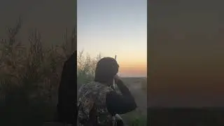 Hunting starling birds #birds #duckhunting #hunting #fishing #birdhunter #huntingbirds