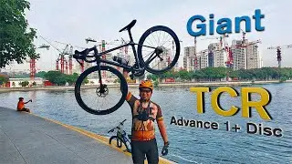 Giant TCR Advanced 1+ Disc 2022