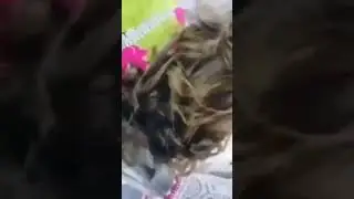 Cap streaks on mehndi treated hairs #viral#shorts#viralvideo