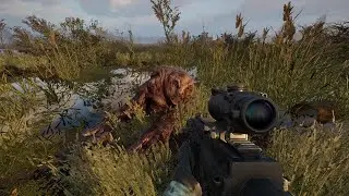 The main mutant of the Zone has been defeated