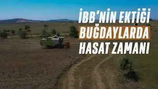 İstanbul'da tarım İBB ile canlanıyor